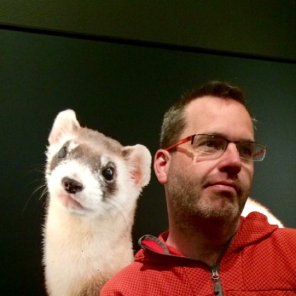 Meet your Posher, Greg - Picture 1 of 1